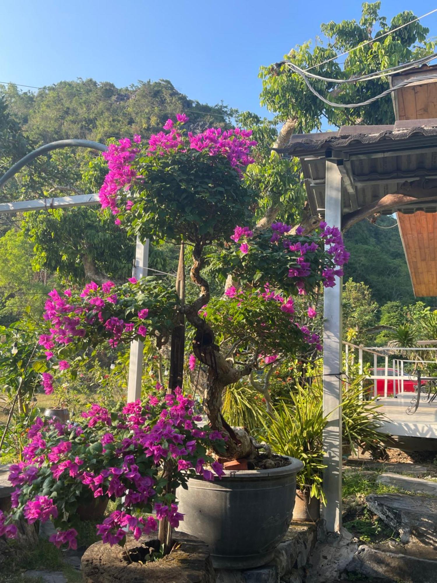 Cat Ba Love House Xuan Dam Esterno foto